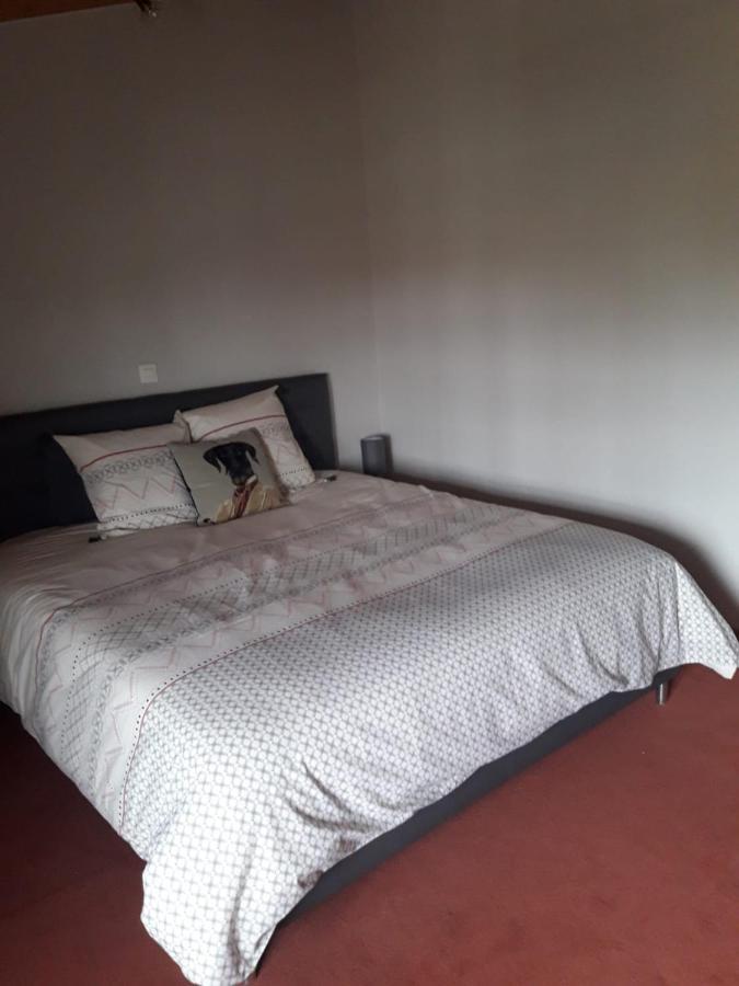Bed and Breakfast La Ferme Du Puits Carre Lamasquere Exterior foto
